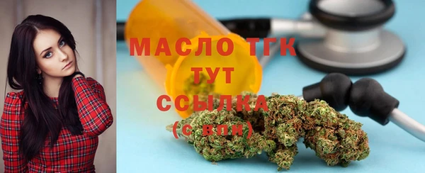 индика Абаза