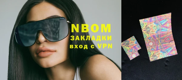 индика Абаза