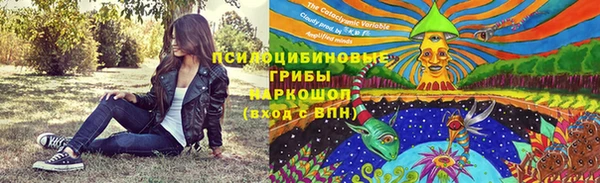 индика Абаза