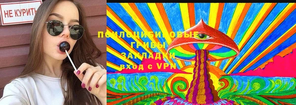 индика Абаза