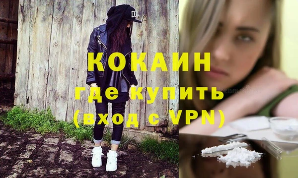 индика Абаза