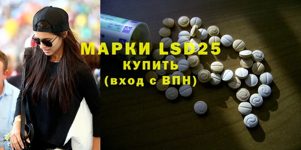 индика Абаза