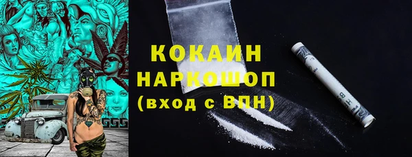 индика Абаза
