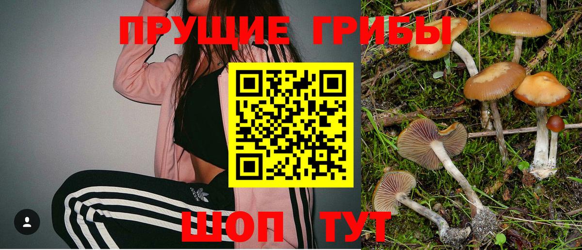 дарнет шоп  Вход с VPN  Псилоцибиновые грибы MAGIC MUSHROOMS  Барнаул  Галлюциногенные грибы Psilocybine cubensis 